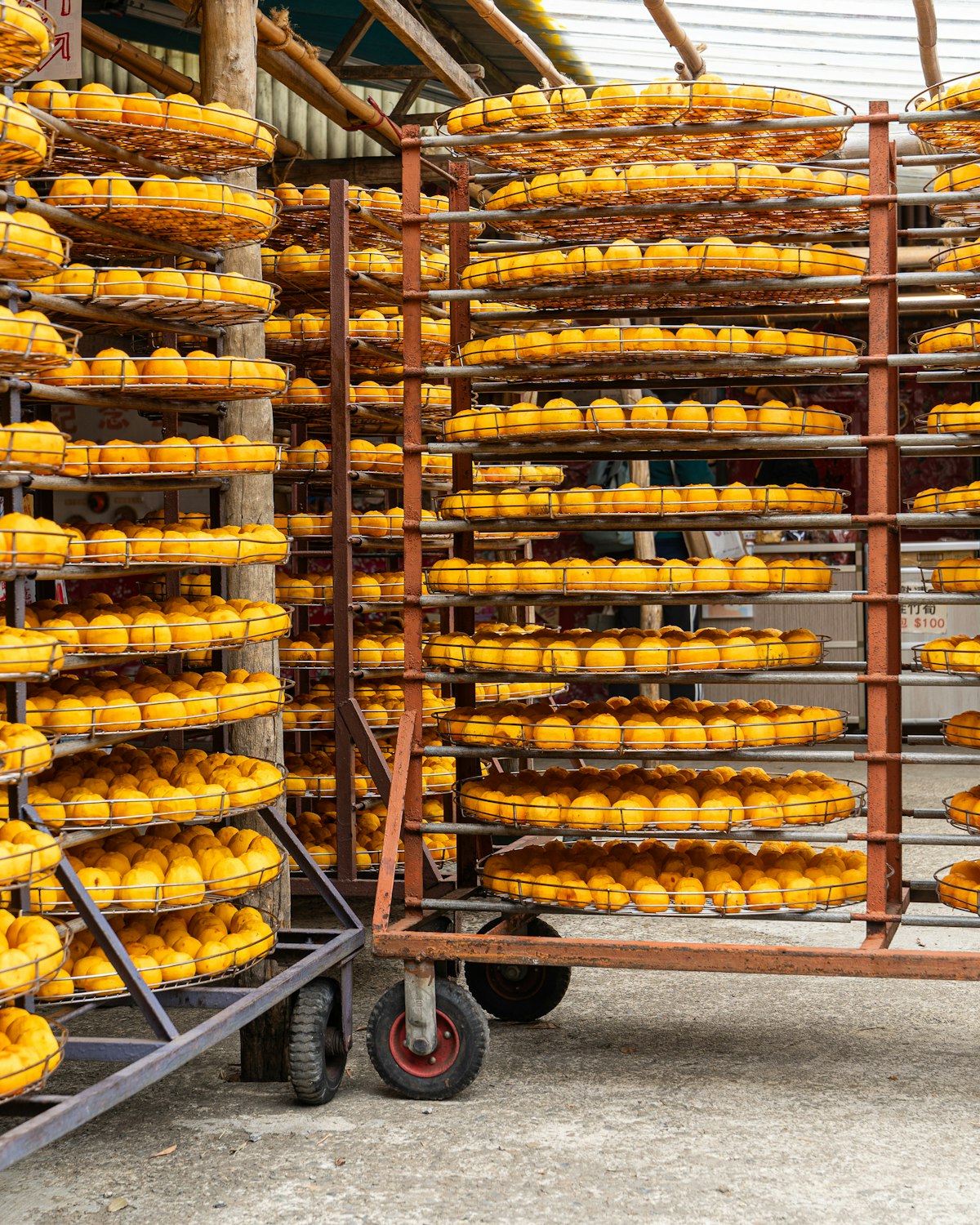 Produce drying on mesh trays in wheeled agro-processing racks