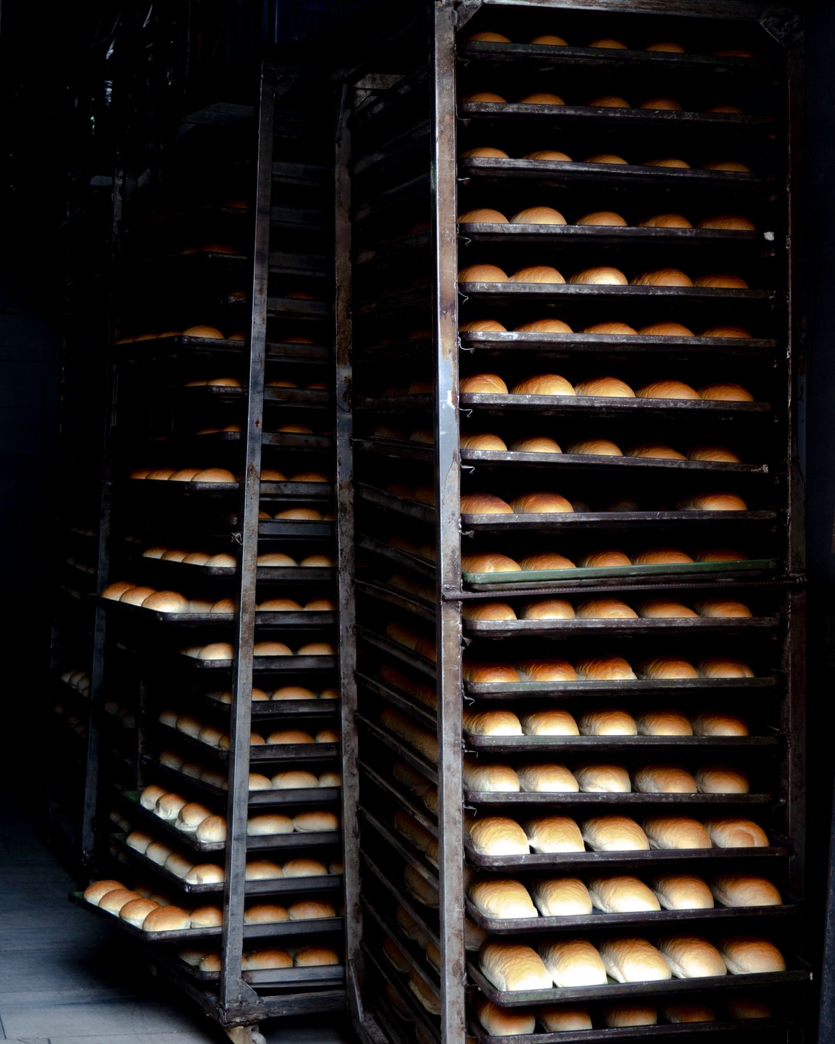 Industrial bakery racks stacked with trays of freshly baked bread rolls